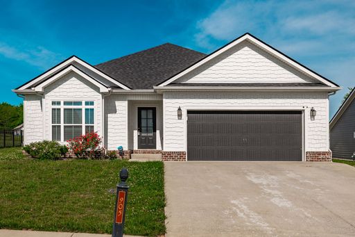 905 Frog Gip Pond Ct. – photo 1
