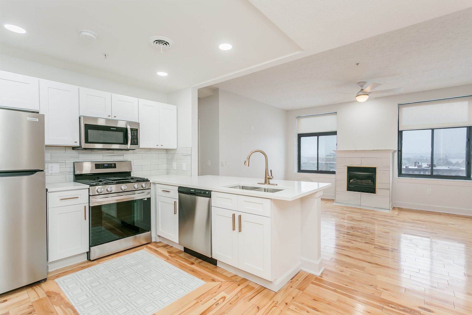 Rochester Apartment: 277 Alexander Street