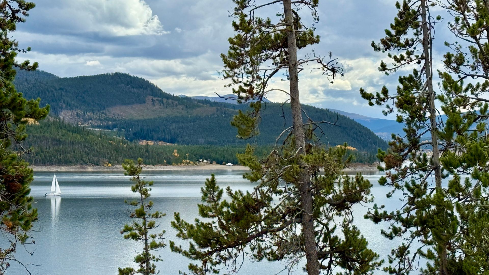 Dillon Condo: 311 W La Bonte St