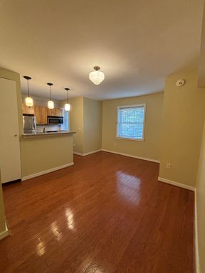 Recently Renovated 1 bedroom apartment in Columbia Heights – photo 1
