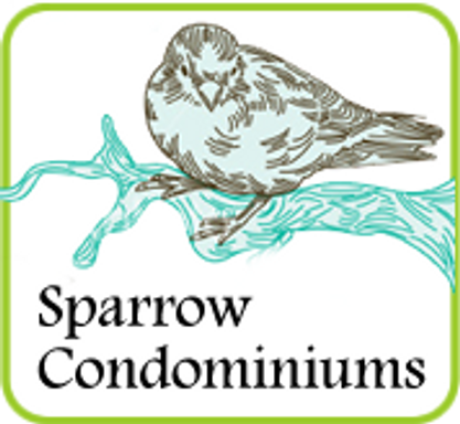 Sparrow 1/1 – photo 1