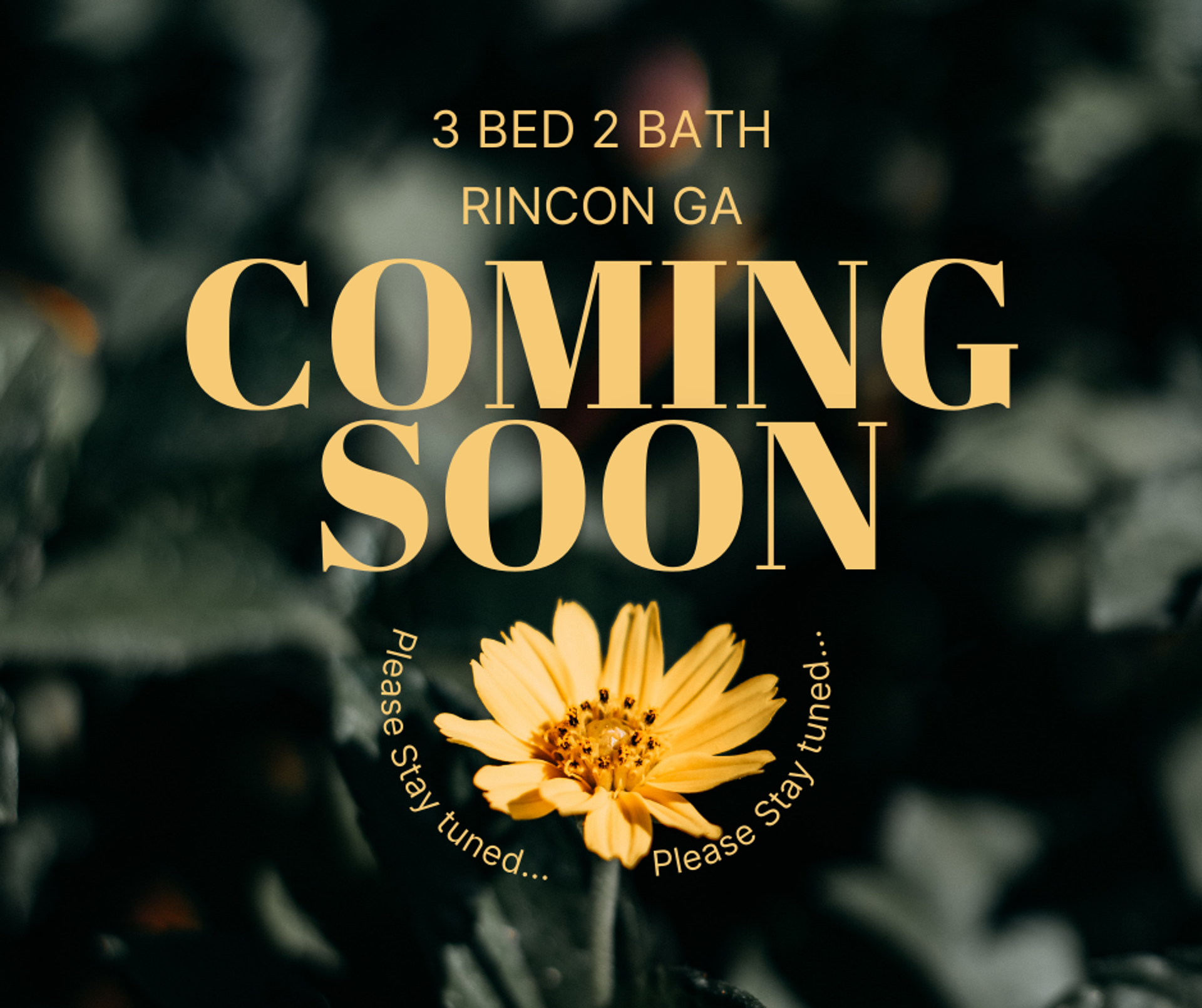 Rincon Apartment: 715 W 9th St