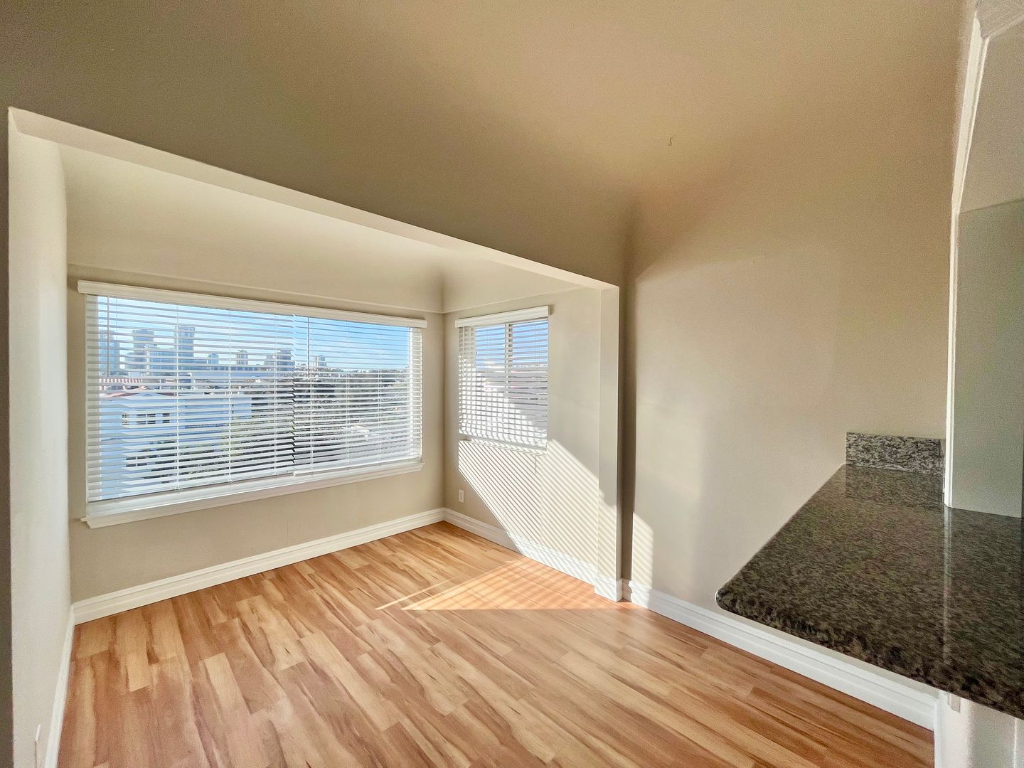 San Diego Condo: 1153 21st St