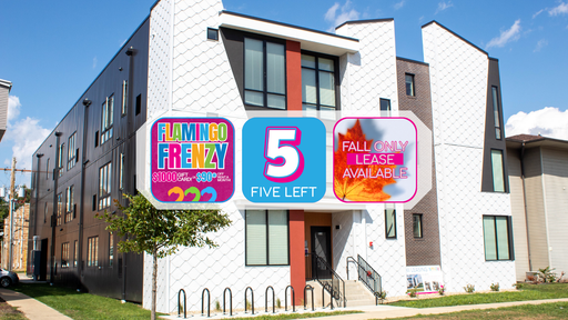 $1,000 Gift Card!4 left! PRICE DROP! Available Now, studio apartment in Engineering Neighborhood, priced per person. – photo 1