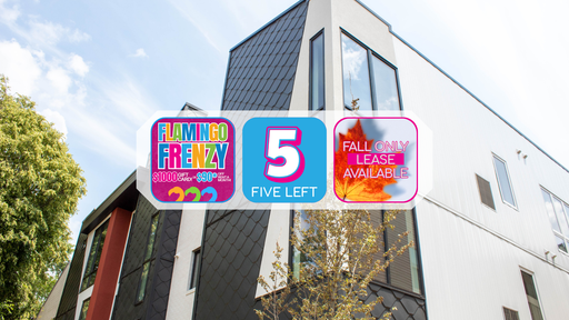 $1,000 Gift Card! 3 left! Available Now, studio apartment in Engineering neighborhood, priced per person. – photo 1