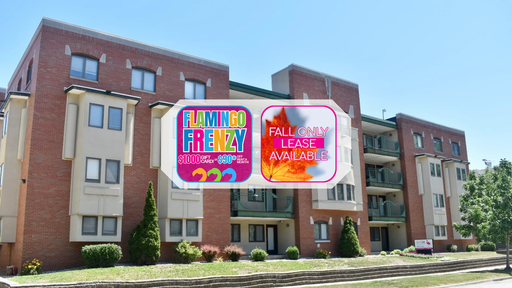 $1,000 Gift Card! 1 Male Bedroom left, Available Now, four bed two bath apartment in Midtown neighborhood, priced per person.