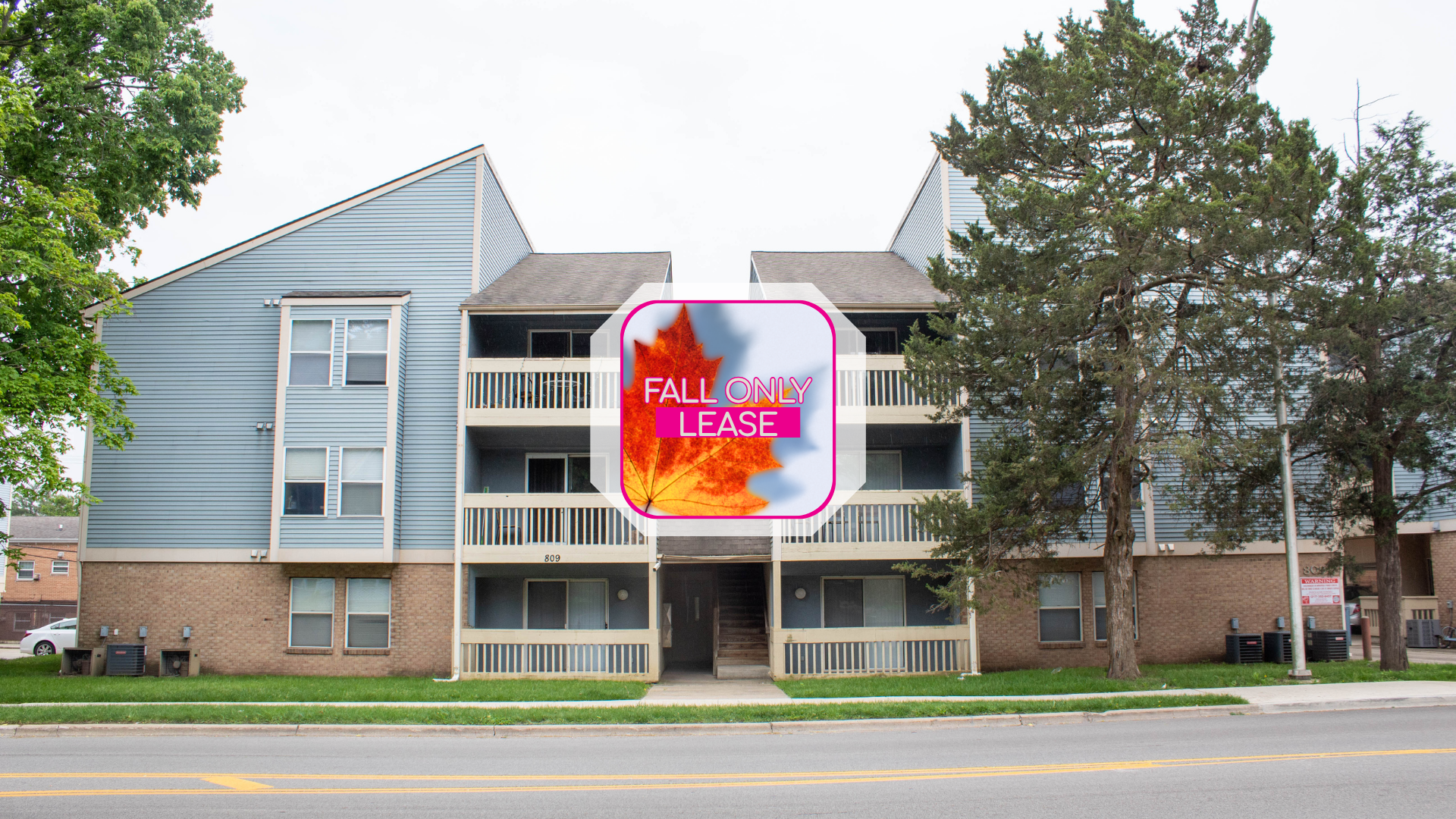 Urbana Apartment: 809 W Springfield
