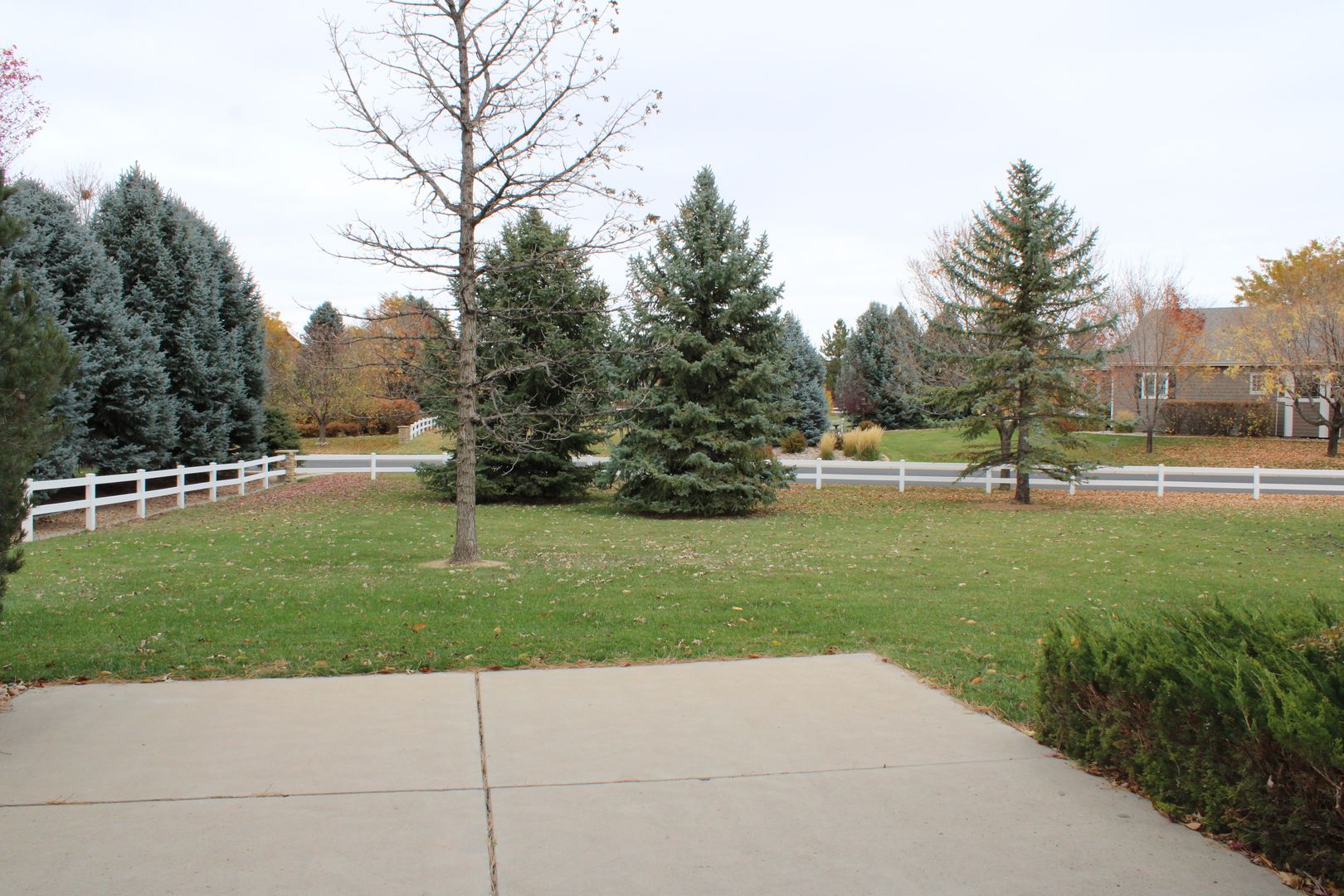 Listing photo