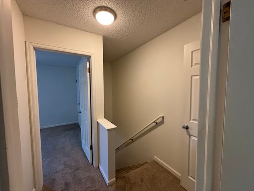 1604 N 4th Street - 3, Berthoud, CO 80513