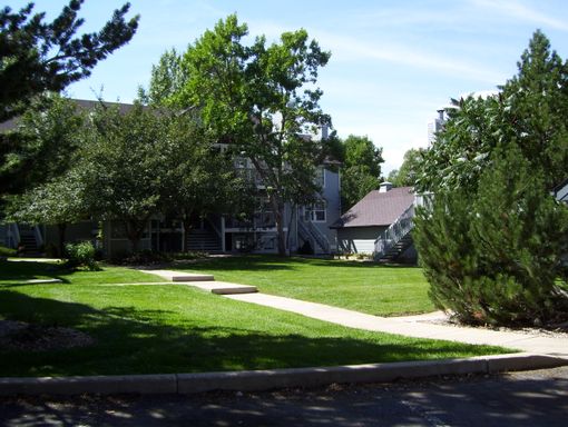Listing photo thumbnail