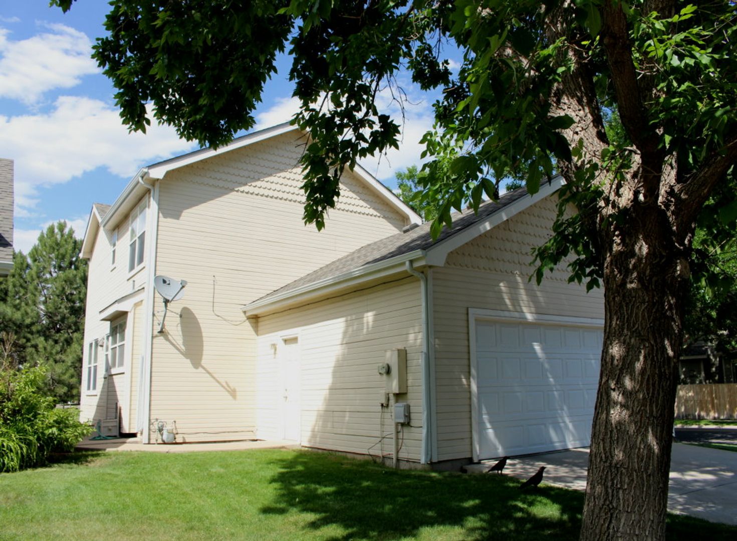 Listing photo