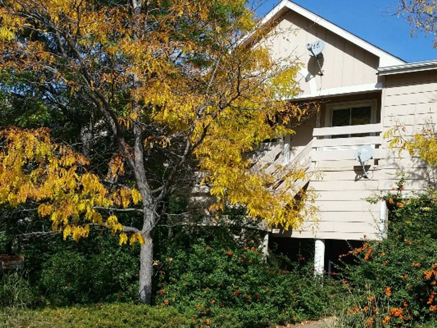 Fort Collins Apartment: 1708 Erin Court