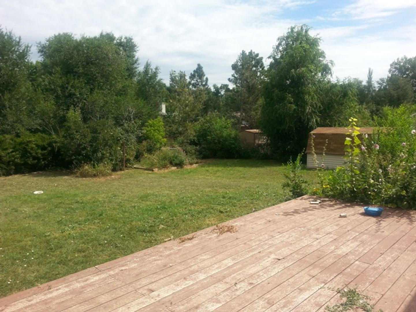 Listing photo