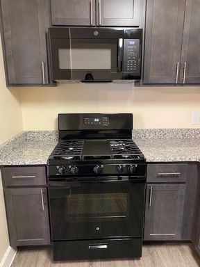 Renovated Ground Foor Unit w/ Vinly Plank Flooring – photo 1