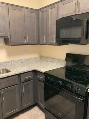 Fully renovated 2 bed 2 bath apartment home with brand new appliances, cabinets, granite and bathroom tiles! – photo 1