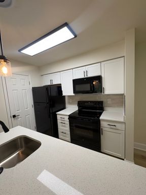 First Floor Quartz Rehab with Black Appliances, Fireplace, and Full Size Washer and Dryer – photo 1