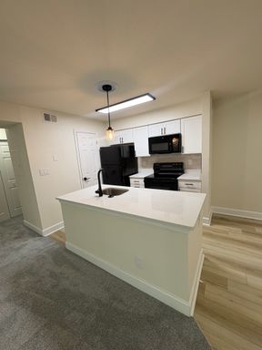 First Floor Newly Renovated Apartment with Quartz Countertops, White Cabinets, Fireplace and Large Balcony – photo 1