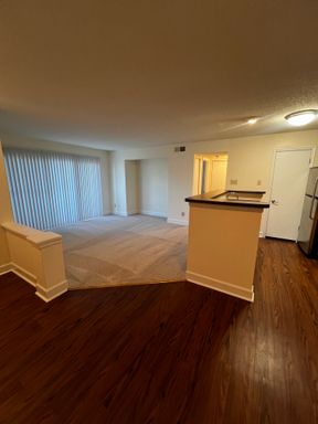 First Floor Apartment with Stainless Steel Kitchen Appliances and Full Sized Washer and Dryer – photo 1