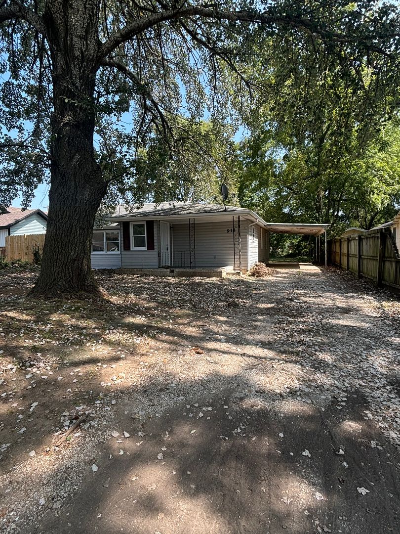 Springfield House: 918 N Brown