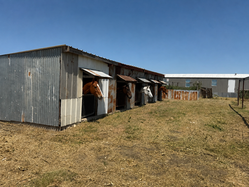 Horse Stables on 5 Acres- Now Available!