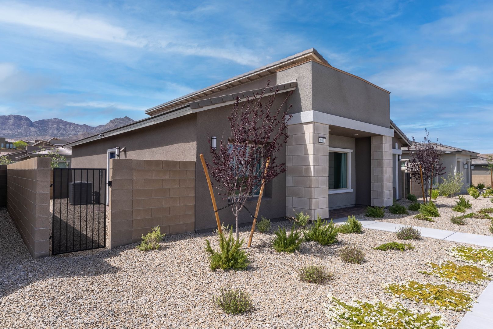 Las Vegas House: 904 Kings Cliff Ln
