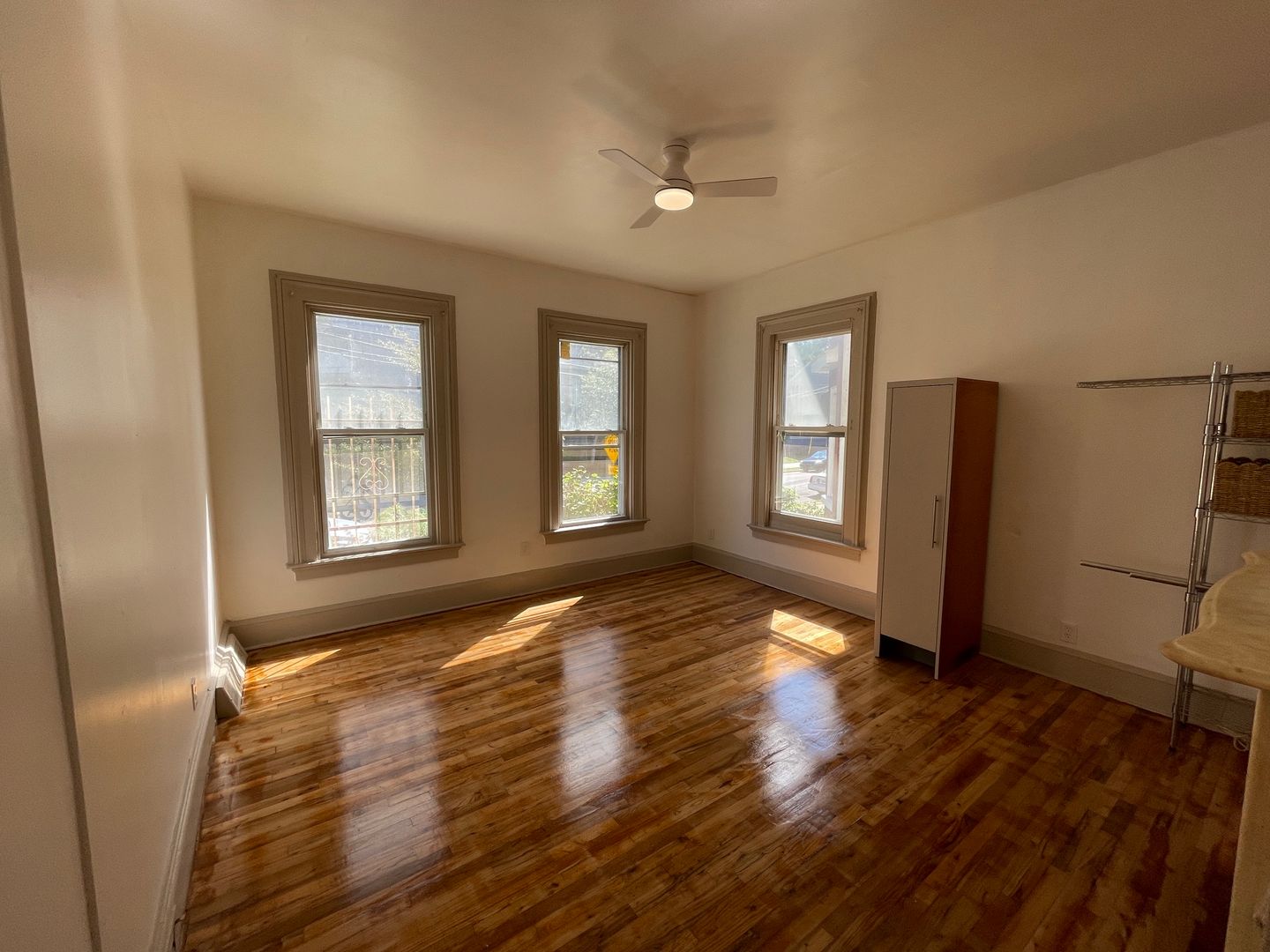 New Haven Apartment: 97 Bristol St