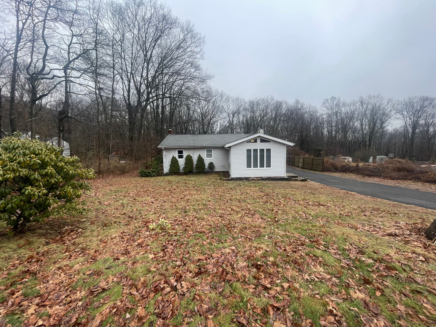 County Apartment: New Haven