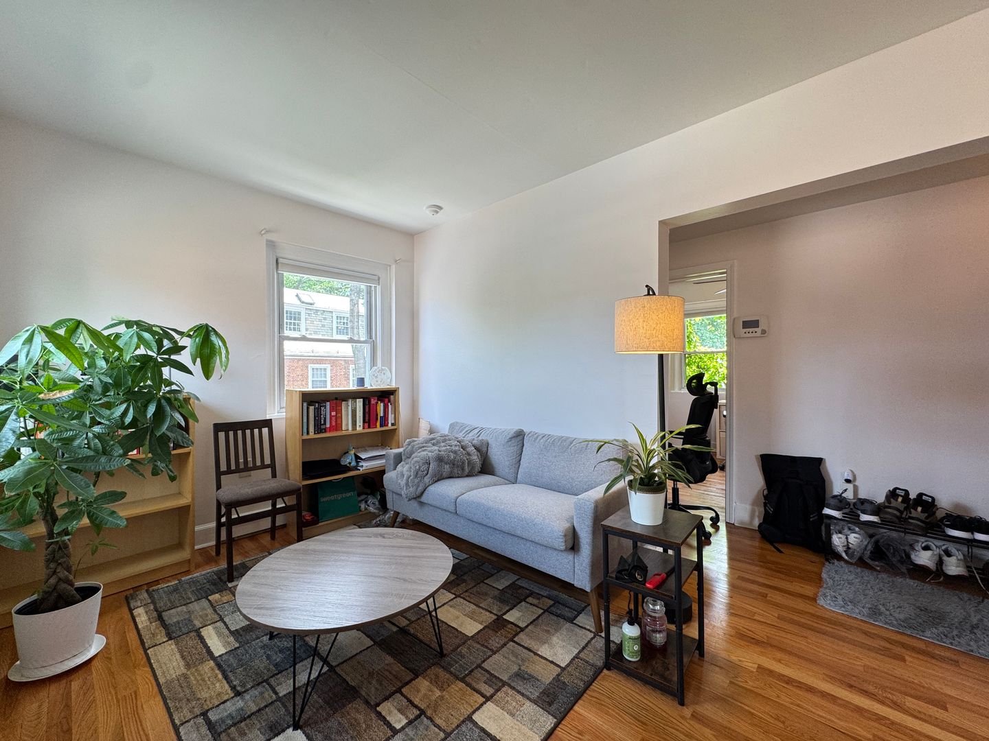 New Haven Apartment: 59 Trumbull Street