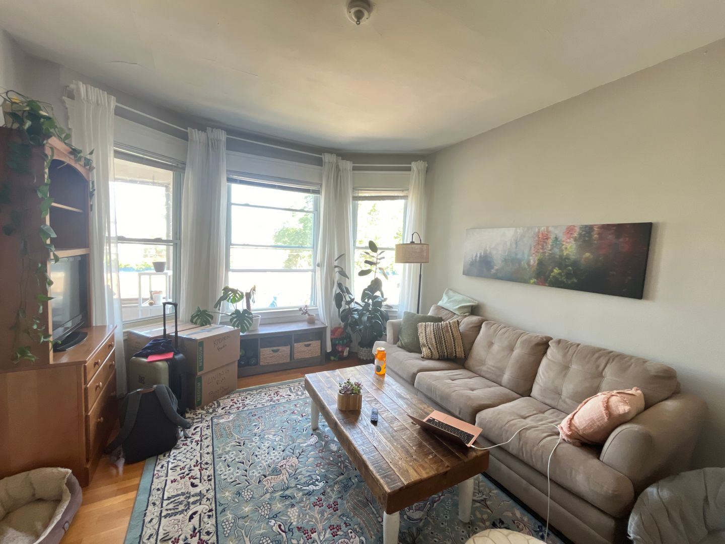 New Haven Apartment: 182-184 Foster Street