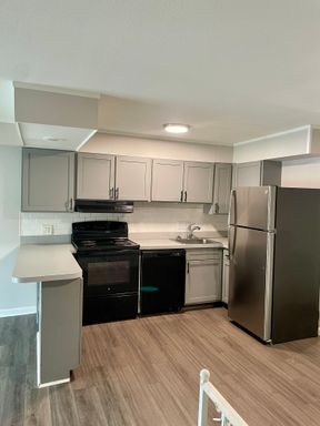 Spacious Multi-Level One Bed/ One and a Half Bath Apartment – photo 1