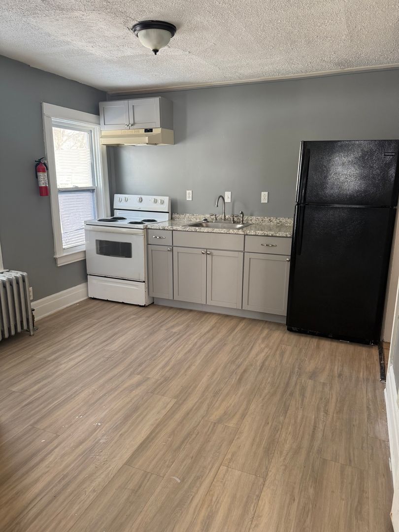 Rochester Apartment: 209 Spencer St