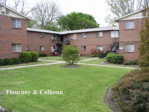 ▲ 816 9th. Street #5- The Pines