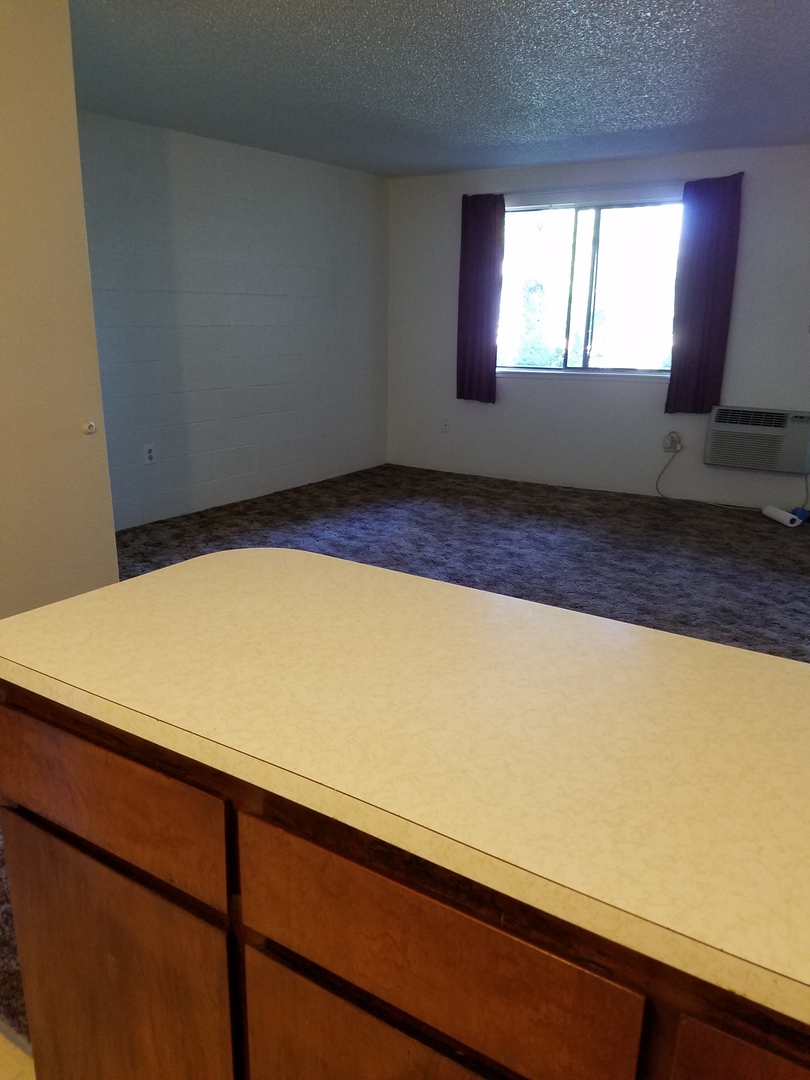 Carson City Apartment: 3300-3330  Imperial Way