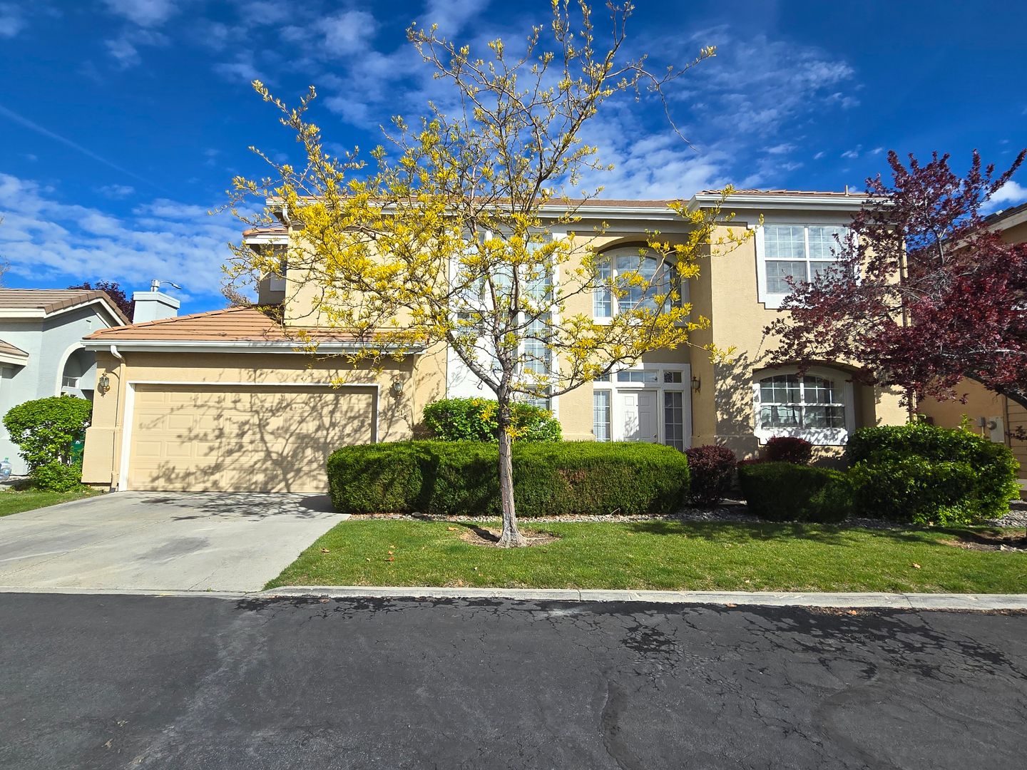 Reno House: 1219 Tule Dr