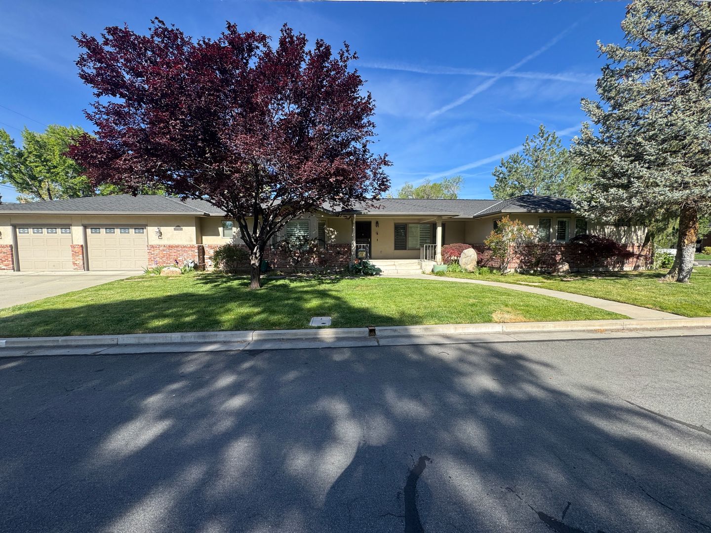 Reno House: 255 Circle Drive