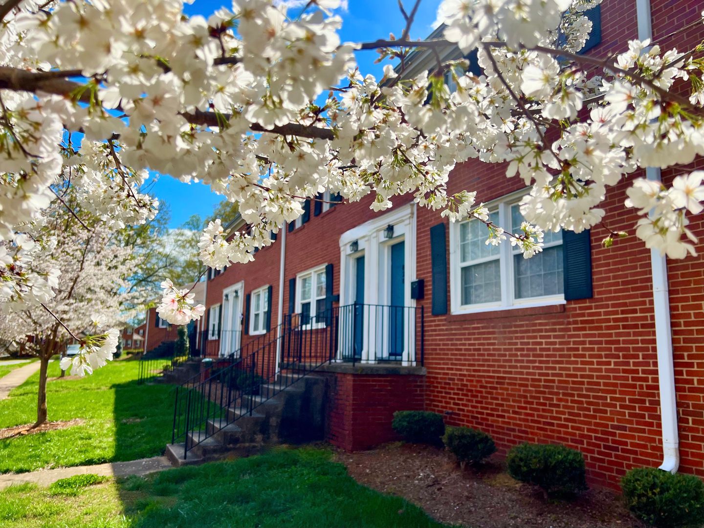 Greensboro Apartment: 1000 Hill St.