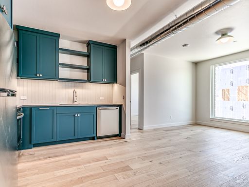 Brand New Loft + Wheeler District – photo 1