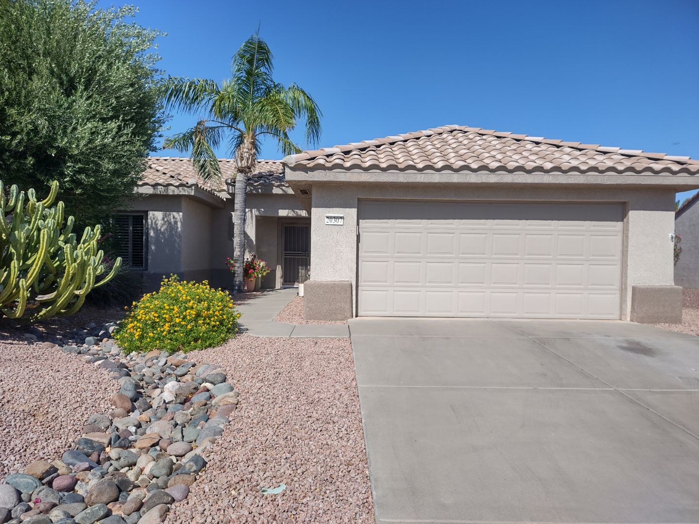Surprise House: 20307 N Queen Palm Lane