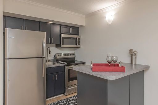 River Hills Flats Studio Unit w/ Murphy Bed Available – photo 1