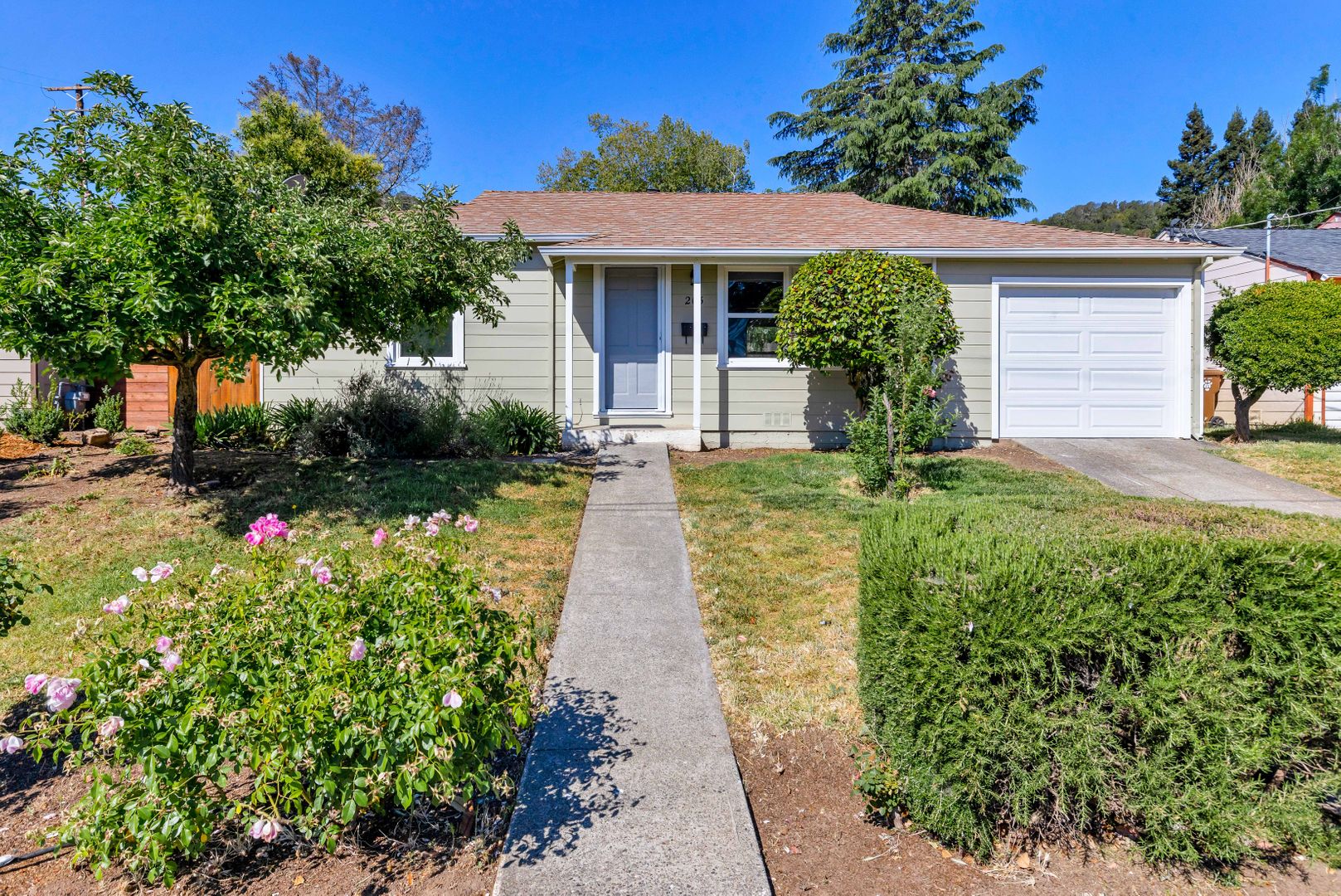 Napa House: 205  Homewood Avenue