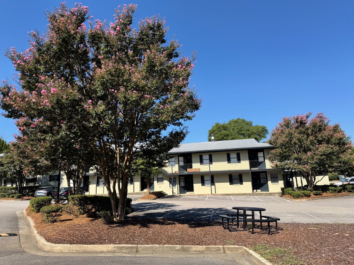 Auburn Condo: 315 E. Magnolia, #124