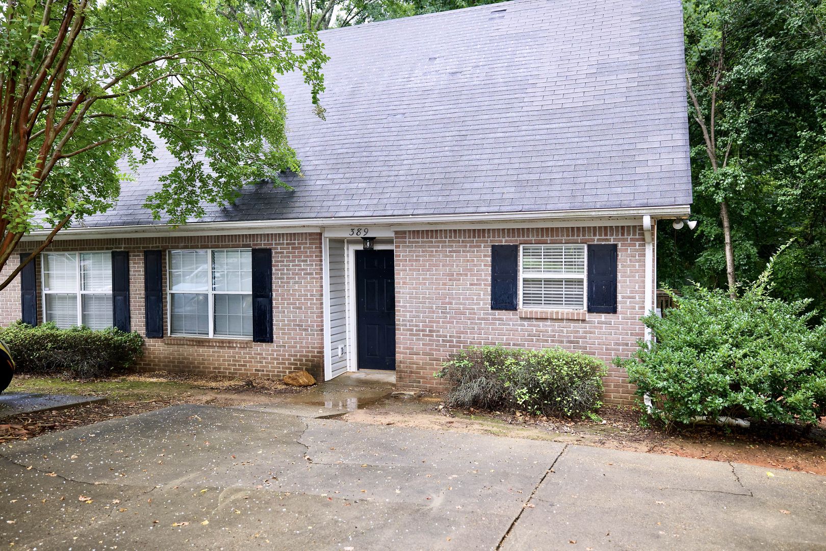 Auburn House: 389 Martin Avenue