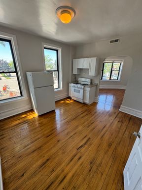 !!HOT!!!Vintage Lovers Dream Apartment in Pilsen HALF MONTHS RENT FREE – photo 1