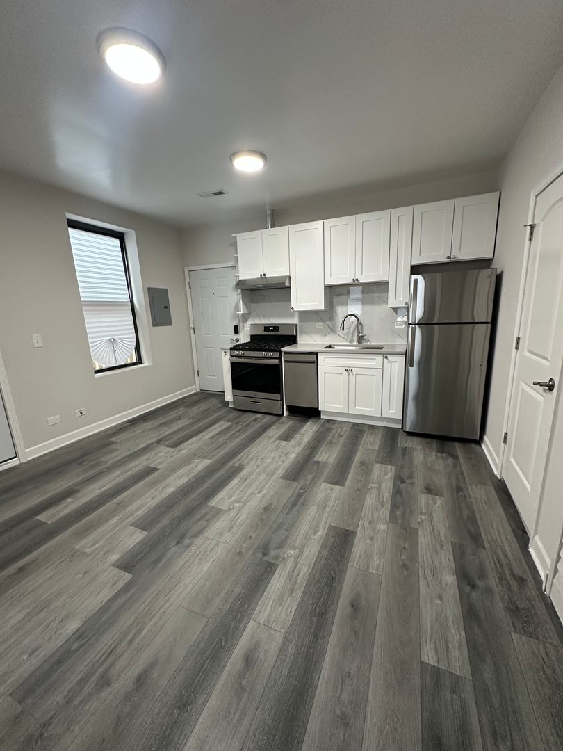 Chicago Apartment: 1328 W. 18th Pl