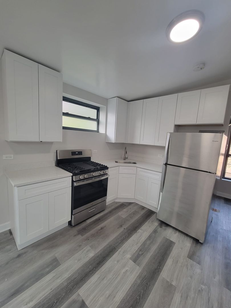 Chicago Apartment: 2017 S. Throop St