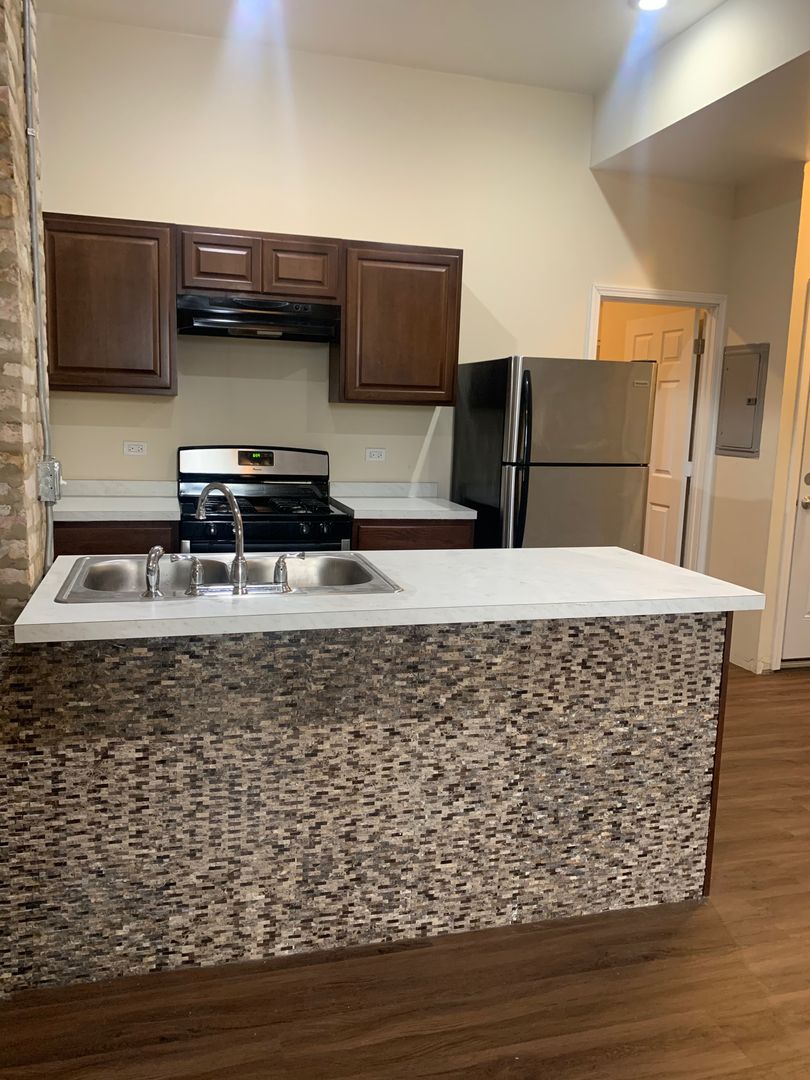 Chicago Apartment: 1141 S. Western Ave