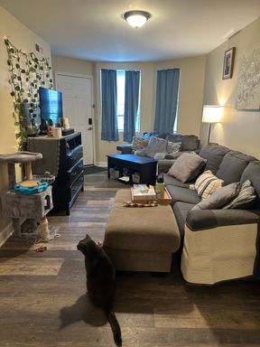 Newly Rehabbed 2BR | 7 Min to UIC & Rush! – photo 1