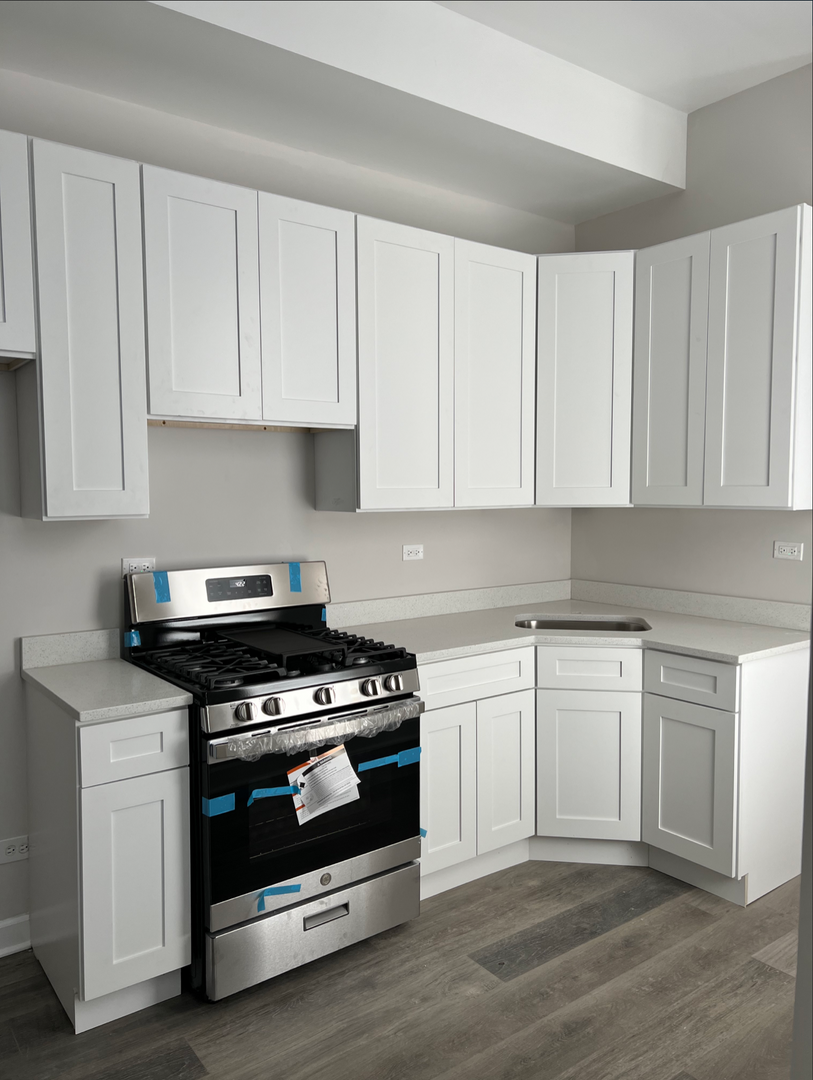 Chicago Apartment: 2017 S. Throop St