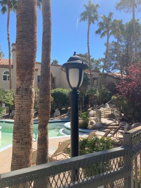 3145 E Flamingo Rd 2100, Las Vegas, NV 89121