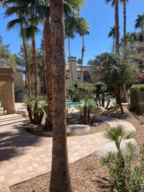 3145 E Flamingo Rd 2100, Las Vegas, NV 89121